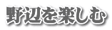 野辺を楽しむ 