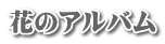 花のアルバム 