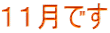 １１月です