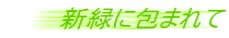 新緑に包まれて