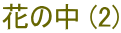 花の中 (2)