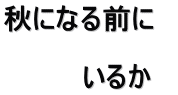 秋になる前に　 　 　　　　いるか