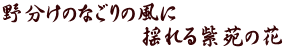 野分けのなごりの風に 　　　　　　揺れる紫苑の花