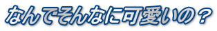 なんでそんなに可愛いの？