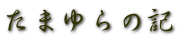たまゆらの記