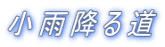 小雨降る道