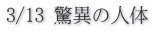 3/13 驚異の人体