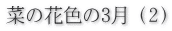菜の花色の3月（2）