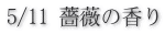 5/11 薔薇の香り 