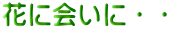 花に会いに・・ 