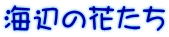 海辺の花たち