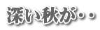深い秋が・・ 