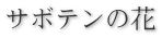 サボテンの花 