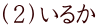（２）いるか