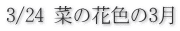 3/24 菜の花色の3月