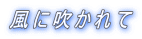 風に吹かれて 