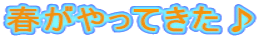 春がやってきた♪