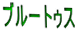 ブルートゥス